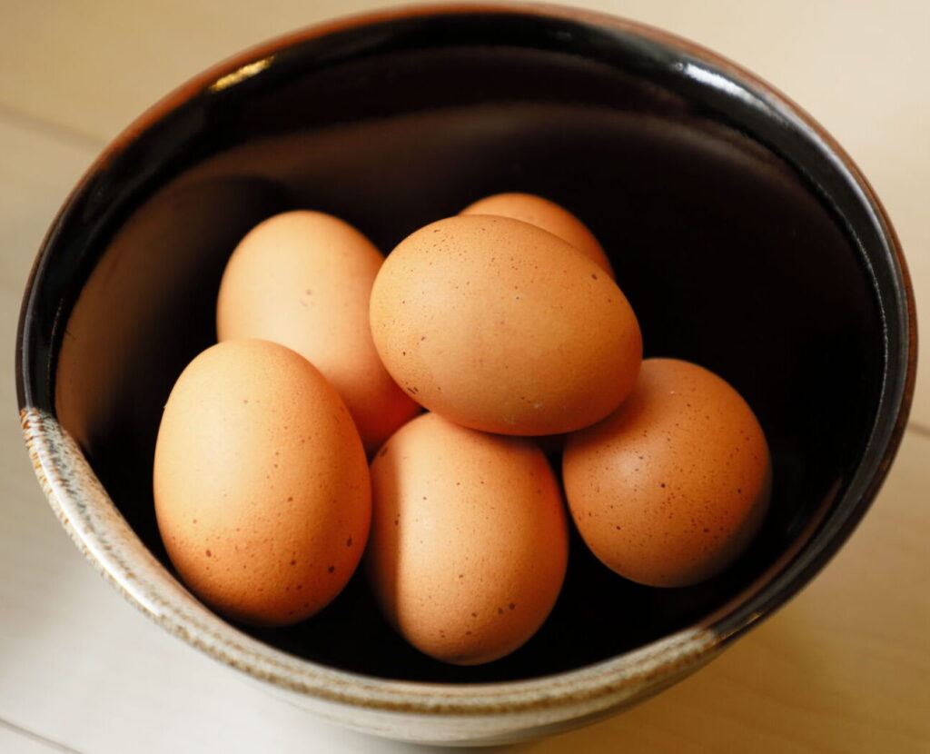 自宅で飼育する鶏が産んだ卵と保存している容器